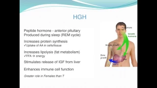 EXSC 281 part 3 Hormone response to exercise