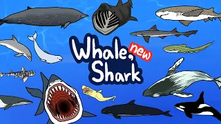 NEW Whale & Shark  | What kind of Whales and Sharks lives under the sea? | Kids Draw