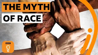 The myth of race | BBC Ideas