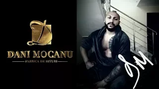 Dani Mocanu - Voi ramane jupan   | Official Audio