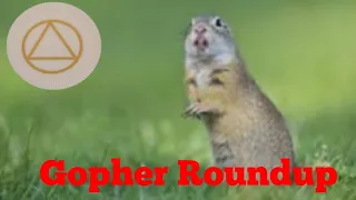 Butch M. - Gopher Roundup - AA Speaker