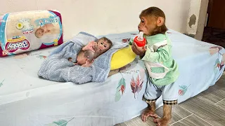Little Monkey gets the best care for the first time in his new home
