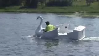 Old amusement park ride swan reborn as speedboat