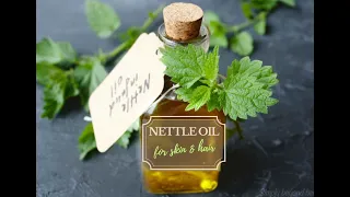 How to make Nettle oil