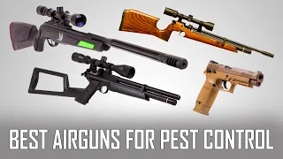 Top 10 Best Airguns for Pest Control - 10 Best Air Rifles for Small Game Hunting