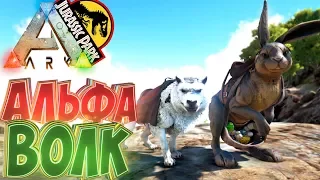 Приручаем Альфа ВОЛКА и Пасхального Кролика - ARK Survival Evolved Модифицированное Выживание #12