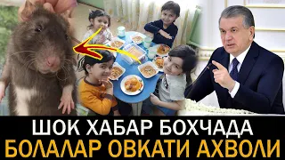 БОХЧАДАГИ КАЛАМУШЛАР ФОШ БОЛДИ