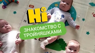 Давайте знакомиться с нашими тройняшками))!!!🥰