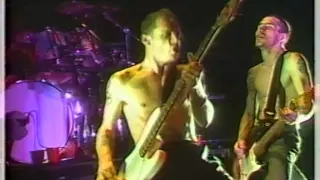 Red Hot Chili Peppers - Suck My Kiss [Live, New Year's Eve - USA, 1991]