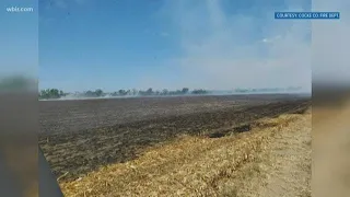 Cornfield fire in Cocke County is out, cause unknown