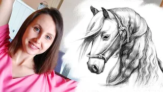 Как нарисовать лошадь карандашом поэтапно для начинающих.