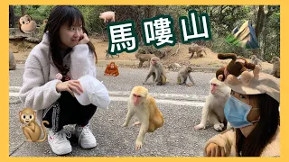 【 Vlog】金山·馬嘍山の遊 / 猿人爭霸戰lol / 驚現野豬兩隻