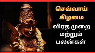 💥 செவ்வாய் கிழமை மேற்கொள்ளும் விரதமுறை மற்றும் பலன்கள் 🙏💥#murugan