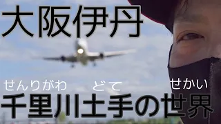 【大阪】伊丹空港　千里川土手の飛行機と人がスゴイ！