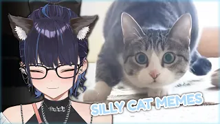 Kson Reacts to classic silly cats compilation