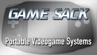 Portable Videogame Systems - Game Sack