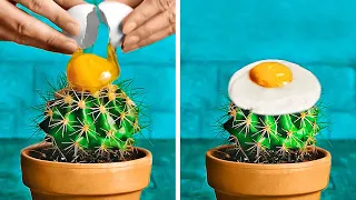 CRAZY WAYS TO COOK EGGS || Delicious Egg Recipes And Kitchen Tricks