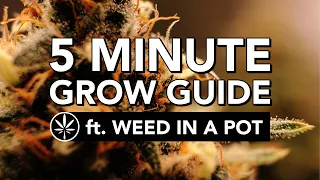 THE Quickstart Guide to Grow Cannabis