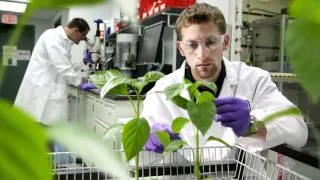 BASF's site in Research Triangle Park