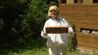 Bienen Expertin Christa Olbrich