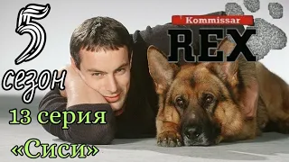 Комиссар Рекс, 5 сезон, 13 серия «Сиси»