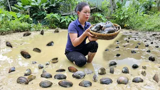 Harvesting Snails, Mussels goes to the market to sell | Cook Snail, Mussel porridge very deliciously