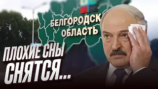 🥴 Лукашенко снова едет к Путину! Белгородщина напугала? | ФЕЙГИН и АРЕСТОВИЧ