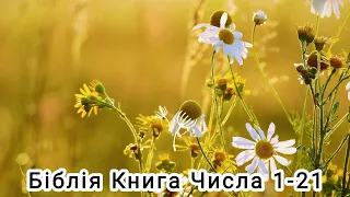 Аудіо Біблія українською мовою ❤️ Книга Числа 1-21 #біблія