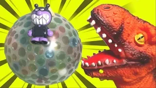 Dinosaurs Orbeez Water Balloon Bomb オービーズ ぷよぷよボール 恐竜 ばいきんまん おもちゃ TOA Kids Channel