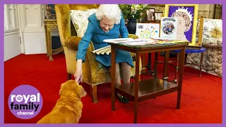 Queen's Pooch Joins in the Jubilee Celebrations!