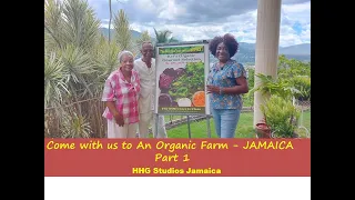Come With Us to An Organic Farm - PART 1 || JAMAICA