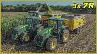 Siláže Kukuřice 2023 🌽 John Deere Tractors 🚜 ZD Klenovice na Hané