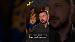 Зеленский прокомментировал слова Тихановской о помощи для освобождения Беларуси #беларусь #україна
