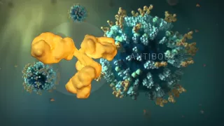 FluFacts: Dynamic 3D Visualizations of Seasonal Influenza