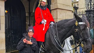 FINAL DAY and then THIS happened! The King's Guards and Horses will be back at Horse Guards soon!