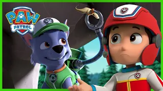 Pieski ratują wąsy - Psi Patrol PAW Patrol po polsku - Pup Tales