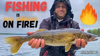 Crazy Action Multi-Species Spring Fishing in Hayward Wisconsin!