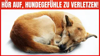 16 Dinge, die deinen Hund EMOTIONAL verletzen