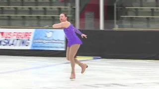 2014 Allison Manley Adult Figure Skating Championships