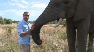 Elephants Trained to Track Poachers | 'GMA' on Safari