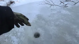 Заваленная тайга. Таёжная речка. Хариус. Трудовая рыбалка поход.