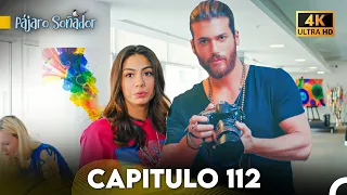 Pájaro Soñador Capítulo 112 (Doblado En Español 4K)