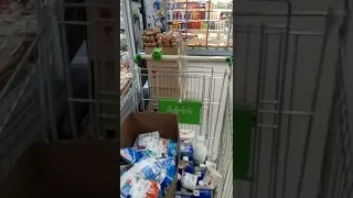 Магазин Перекресток, просроченная молочная продукция и цены непонятные!