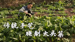 傳統手藝醃製的大頭菜，體現著中國人的智慧Pickled kohlrabi reflects the wisdom of the Chinese people