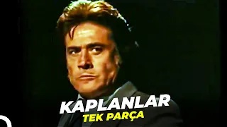 Kaplanlar | Cüneyt Arkın Türk Aksiyon Filmi İzle