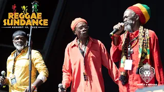 The Abyssinians live at Reggae Sundance 2022