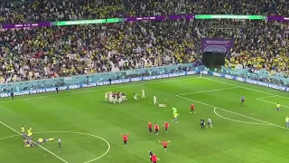 Completely Crazy Croatia Fan Reactions To Win Against Brazil After Penalty Shootout At The World Cup