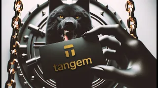 Tangem 2.0 - The Ultimate Way to Secure your Tangem Wallet.