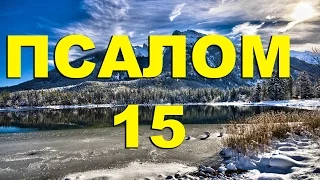 Псалтирь. ПСАЛОМ 15. [рус.]