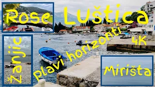 Najlepša plaža - Luštica - Mirišta | Žanjice | Rose | Plavi Horizonti - 4k - eng sub- Crna Gora